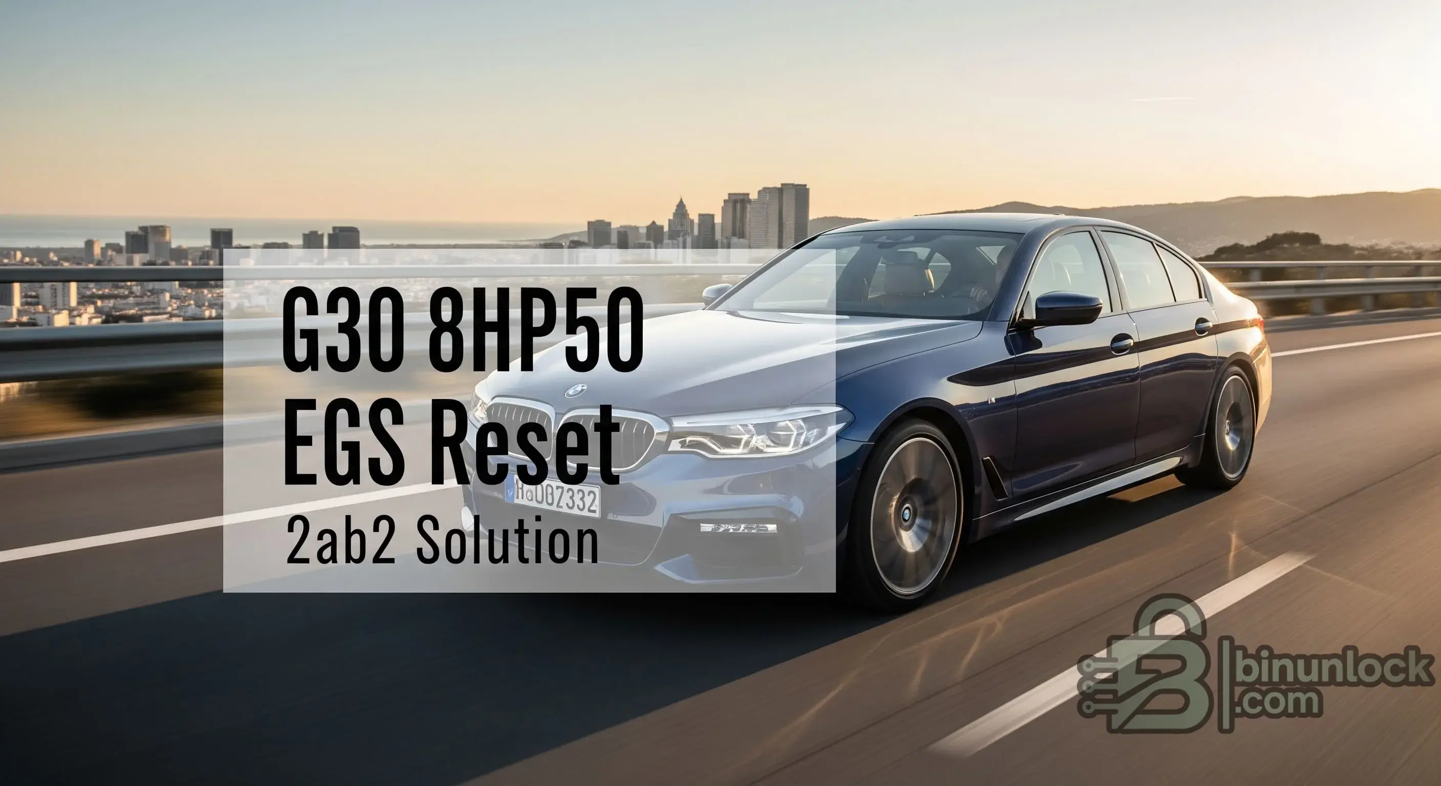 G30 8HP50 EGS Reset function screen