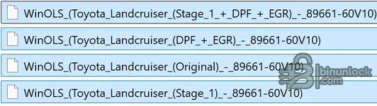 Toyota_Land_Cruiser_Stage.webp