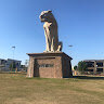 shariz124