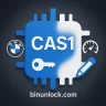 CAS1 Editor | BMW ISN, VIN & Mileage Editor (2K79X, 0L01Y, 0K50E)
